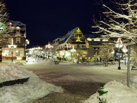 Stadtwohnung Schneeflocke Винтерберг Экстерьер фото